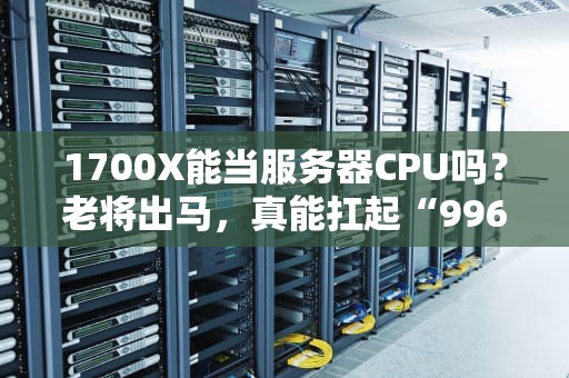 1700X能当服务器CPU吗？老将出马，真能扛起“996”的福报？