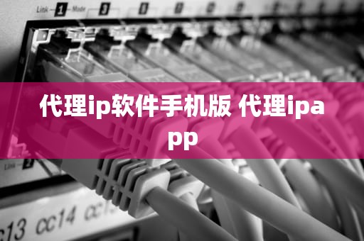 代理ip软件手机版 代理ipapp