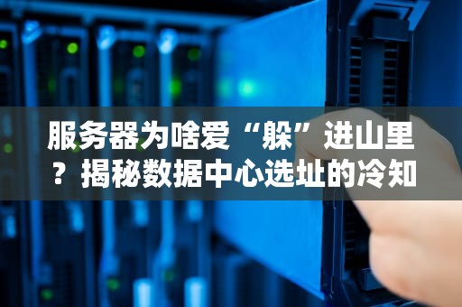 服务器为啥爱“躲”进山里？揭秘数据中心选址的冷知识！