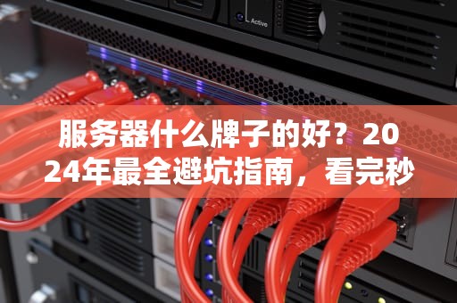 服务器什么牌子的好？2024年最全避坑指南，看完秒变老司机！