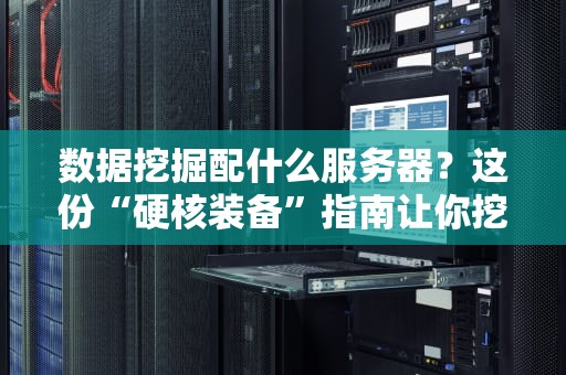 数据挖掘配什么服务器？这份“硬核装备”指南让你挖得更爽！