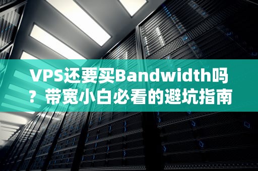 VPS还要买Bandwidth吗？带宽小白必看的避坑指南！