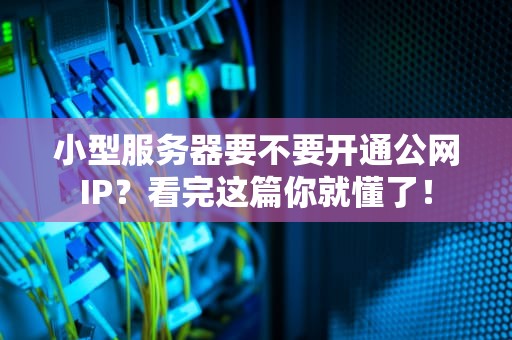 小型服务器要不要开通公网IP？看完这篇你就懂了！