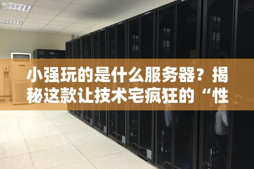 小强玩的是什么服务器？揭秘这款让技术宅疯狂的“性能怪兽”！