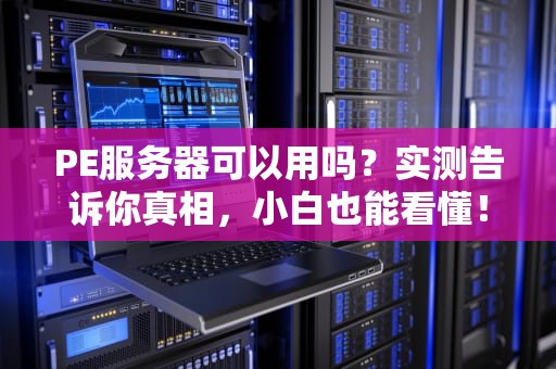 PE服务器可以用吗？实测告诉你真相，小白也能看懂！