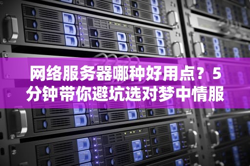 网络服务器哪种好用点？5分钟带你避坑选对梦中情服！