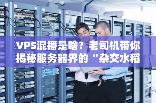 VPS混播是啥？老司机带你揭秘服务器界的“杂交水稻”！（附实操指南）
