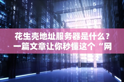 花生壳地址服务器是什么？一篇文章让你秒懂这个“网络快递员”！