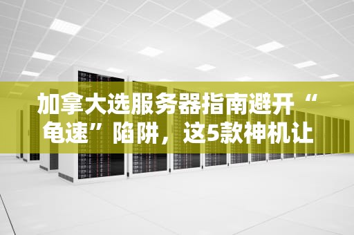 加拿大选服务器指南避开“龟速”陷阱，这5款神机让你爽到飞起！
