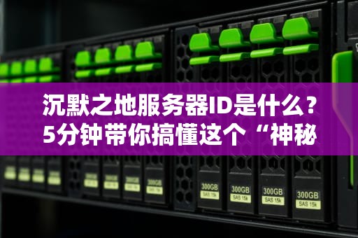 沉默之地服务器ID是什么？5分钟带你搞懂这个“神秘代码”的玄机！