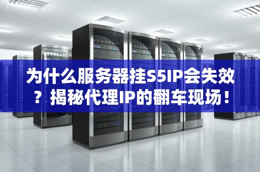 为什么服务器挂S5IP会失效？揭秘代理IP的翻车现场！
