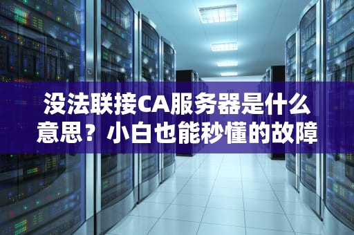 没法联接CA服务器是什么意思？小白也能秒懂的故障排查指南！