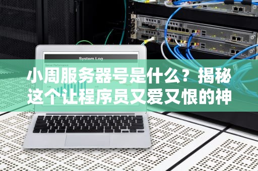 小周服务器号是什么？揭秘这个让程序员又爱又恨的神秘代码