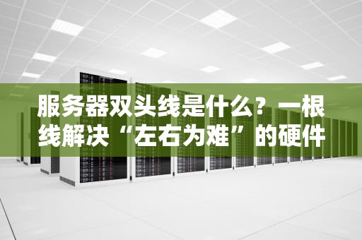 服务器双头线是什么？一根线解决“左右为难”的硬件尴尬！