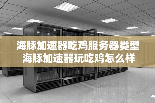 海豚加速器吃鸡服务器类型 海豚加速器玩吃鸡怎么样