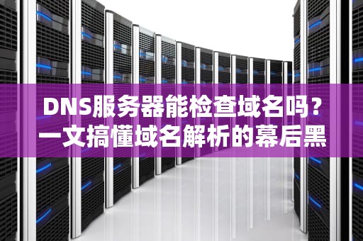DNS服务器能检查域名吗？一文搞懂域名解析的幕后黑手！