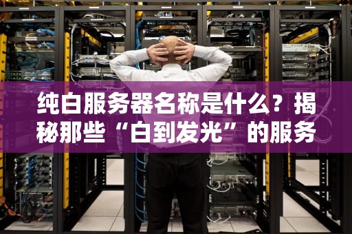 纯白服务器名称是什么？揭秘那些“白到发光”的服务器代号！