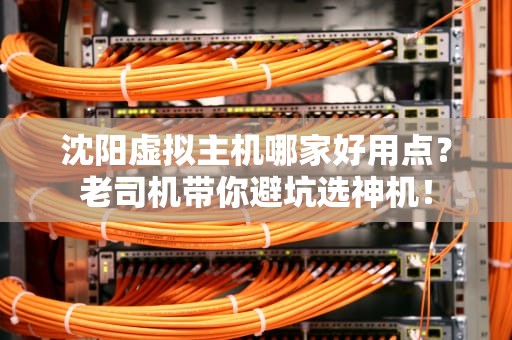 沈阳虚拟主机哪家好用点？老司机带你避坑选神机！