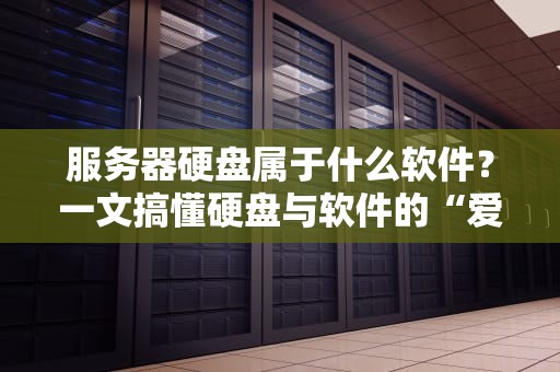 服务器硬盘属于什么软件？一文搞懂硬盘与软件的“爱恨情仇”