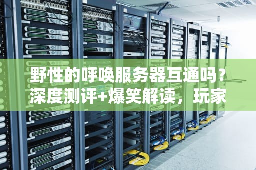 野性的呼唤服务器互通吗？深度测评+爆笑解读，玩家必看！