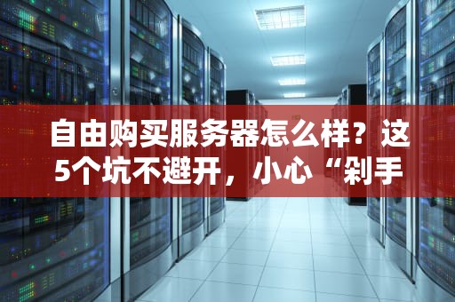 自由购买服务器怎么样？这5个坑不避开，小心“剁手”变“剁服务器”！