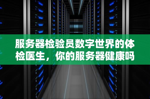 服务器检验员数字世界的体检医生，你的服务器健康吗？
