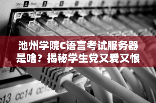 池州学院C语言考试服务器是啥？揭秘学生党又爱又恨的代码判官！