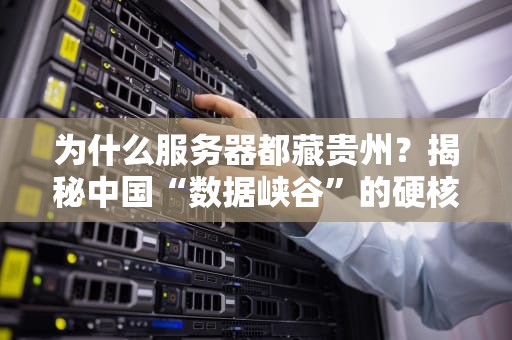 为什么服务器都藏贵州？揭秘中国“数据峡谷”的硬核优势！