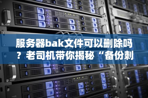 服务器bak文件可以删除吗？老司机带你揭秘“备份刺客”的真相！