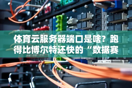 体育云服务器端口是啥？跑得比博尔特还快的“数据赛道”了解一下！