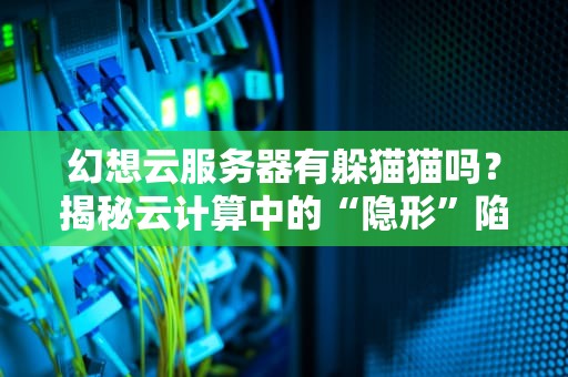 幻想云服务器有躲猫猫吗？揭秘云计算中的“隐形”陷阱与性能真相！