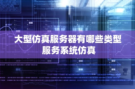 大型仿真服务器有哪些类型 服务系统仿真
