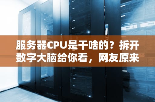 服务器CPU是干啥的？拆开数字大脑给你看，网友原来它才是真·打工人！