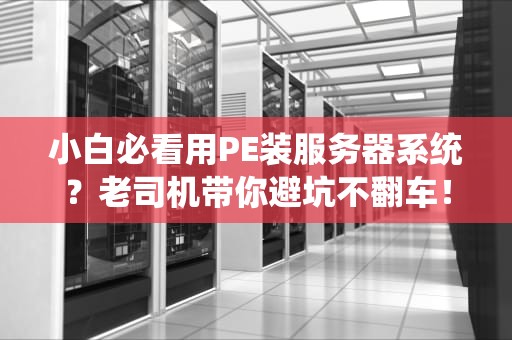 小白必看用PE装服务器系统？老司机带你避坑不翻车！