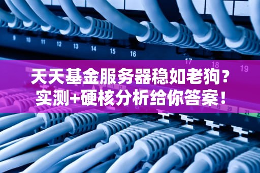 天天基金服务器稳如老狗？实测+硬核分析给你答案！