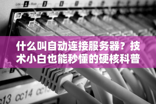 什么叫自动连接服务器？技术小白也能秒懂的硬核科普！