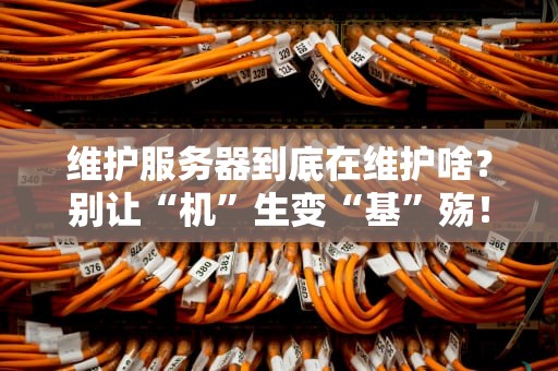 维护服务器到底在维护啥？别让“机”生变“基”殇！