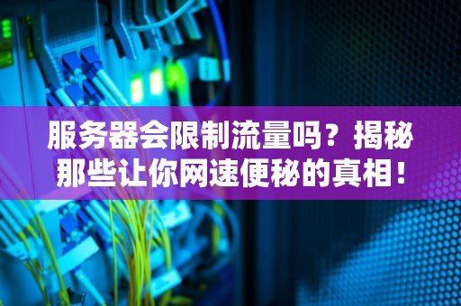 服务器会限制流量吗？揭秘那些让你网速便秘的真相！