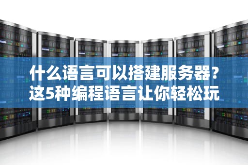 什么语言可以搭建服务器？这5种编程语言让你轻松玩转服务器搭建！