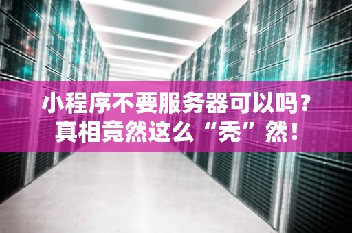 小程序不要服务器可以吗？真相竟然这么“秃”然！