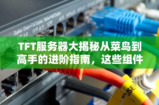 TFT服务器大揭秘从菜鸟到高手的进阶指南，这些组件你都知道吗？