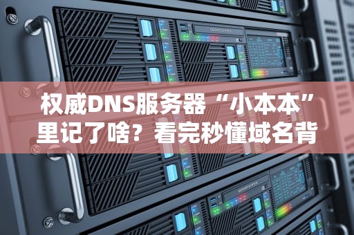 权威DNS服务器“小本本”里记了啥？看完秒懂域名背后的秘密！