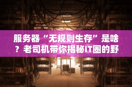 服务器“无规则生存”是啥？老司机带你揭秘IT圈的野生世界！