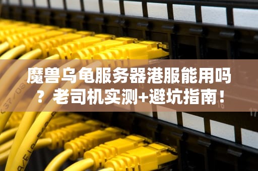 魔兽乌龟服务器港服能用吗？老司机实测+避坑指南！
