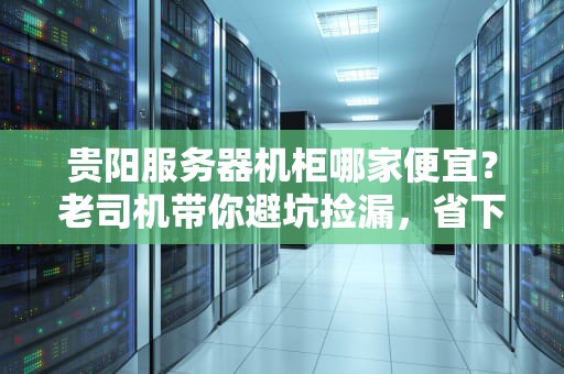 贵阳服务器机柜哪家便宜？老司机带你避坑捡漏，省下钱买鸡腿不香吗？