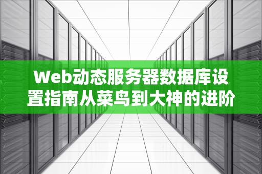 Web动态服务器数据库设置指南从菜鸟到大神的进阶之路