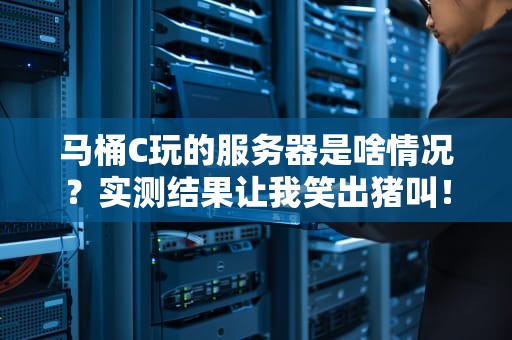 马桶C玩的服务器是啥情况？实测结果让我笑出猪叫！