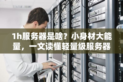 1h服务器是啥？小身材大能量，一文读懂轻量级服务器的秘密！