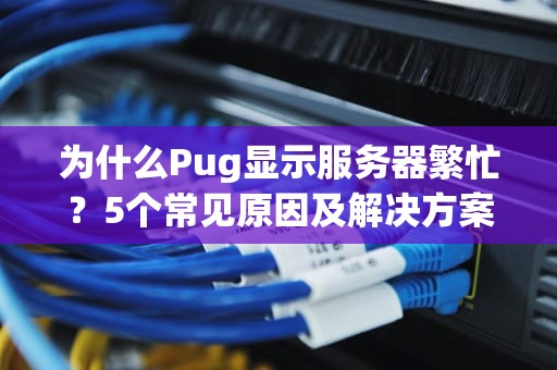 为什么Pug显示服务器繁忙？5个常见原因及解决方案大揭秘！