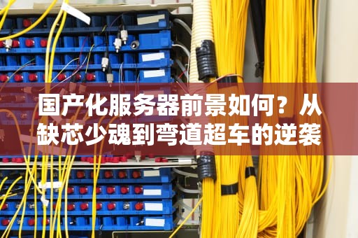国产化服务器前景如何？从缺芯少魂到弯道超车的逆袭之路